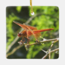 Search for dragonfly christmas tree decorations Insect