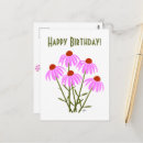 Search for cornflowers postcards Wildflowers