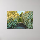 Search for white flower canvas prints Nature