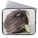 Search for cuddly electronics Cute