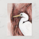 Search for waterfowl postcards White