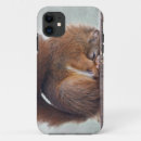 Search for squirrels iphone cases Fun