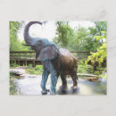 Search for bronze postcards Statue