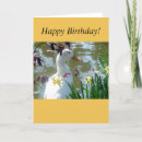 Search for white daffodil cards Daffodils