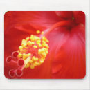 Search for red hibiscus mousepads Flower