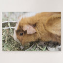 Search for pig puzzles Rodents
