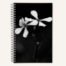 Search for practicing photography Floral