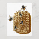 Search for bee illustration postcards Honey