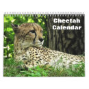 Search for vacation calendars 2026