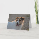 Search for jack russell terrier valentines day cards Heart