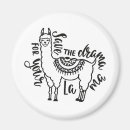 Search for alpaca magnets Phrase