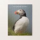 Search for puffin puzzles Nature