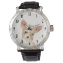 Search for chihuahua watches Cute