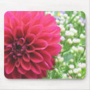 Search for dahlia mousepads Nature