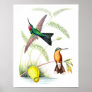 Search for vintage natural history posters Antique