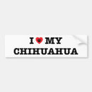 Search for chihuahua bumper stickers Mexico