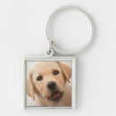 Search for labradors key rings Pets