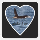 Search for orca photography Killer whale