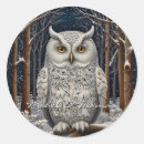 Search for vintage owl stickers Nature