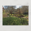 Search for park spring postcards Trees