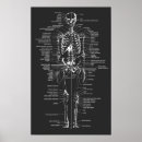 Search for greys anatomy posters Bones