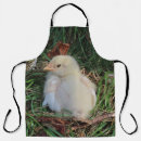 Search for hens aprons Bird