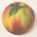 Search for farmers coasters Garden