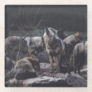 Search for wolf coasters Wildlife