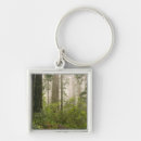 Search for rhododendrons key rings Tree