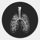 Search for anatomy stickers Lungs