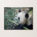 Search for panda bear puzzles Black