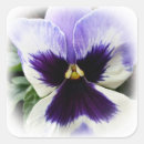 Search for purple pansy stickers Yellow