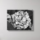Search for hydrangeas art Black