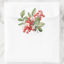 Search for winter berries stickers Holly