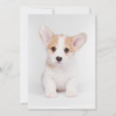 Search for corgi thank you cards Pet