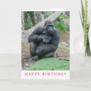 Search for gorilla birthday cards Wildlife