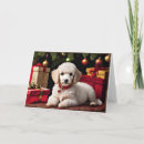 Search for poodle christmas cards Pet