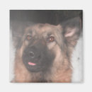 Search for tongue magnets Pets