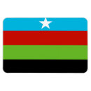 Search for movement magnets Flag