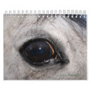 Search for ey calendars Photography
