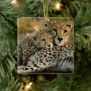 Search for cheetah christmas tree decorations Wild animals