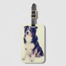 Search for australian shepherd accessories Animals