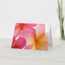 Search for frangipani birthday cards invites Yellow