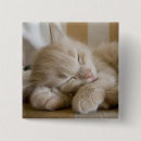 Search for sleep badges Cat