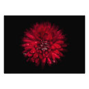 Search for 45 art Flowers
