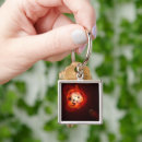 Search for red dwarf star key rings Extrasolar