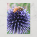 Search for globe postcards Flower