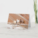 Search for horse ranch cards Farm
