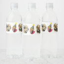 Search for funny water bottle labels Black