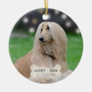 Search for greyhound dog christmas tree decorations Animals